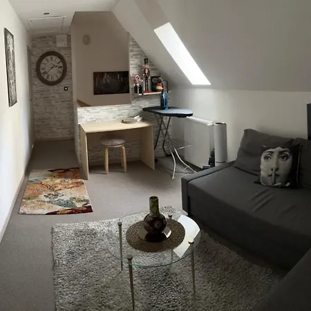 L'ajasserie D'orcival Bed & Breakfast 3*