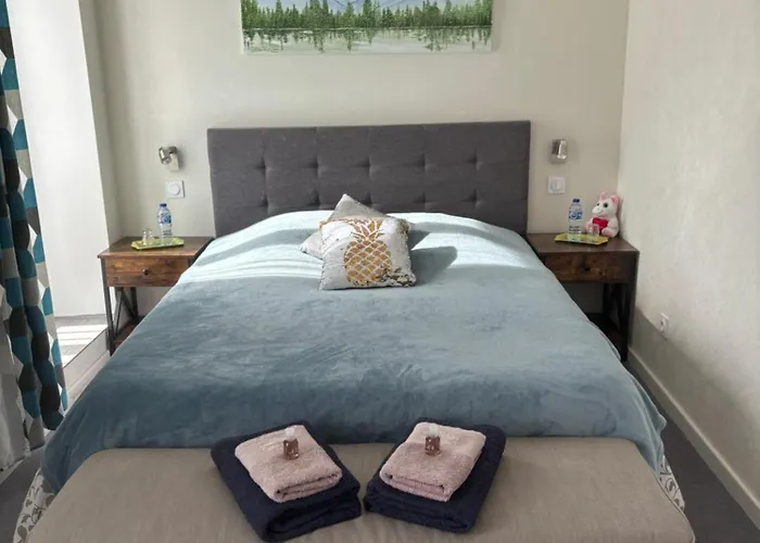 L'ajasserie D'orcival 3* Орсиваль