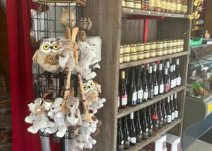 L'ajasserie D'orcival 3*