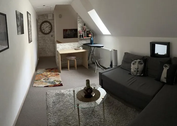 L'ajasserie D'orcival Bed & Breakfast 3*