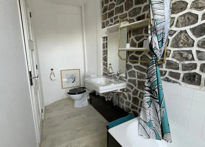 L'ajasserie D'orcival