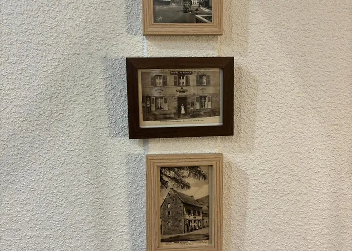 L'ajasserie D'orcival Orcival